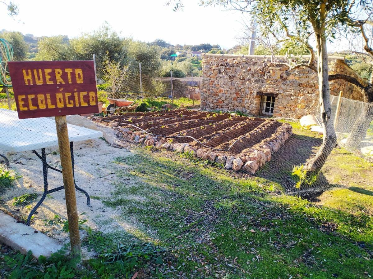 Casa Rural Bellavista Ronda Exterior photo