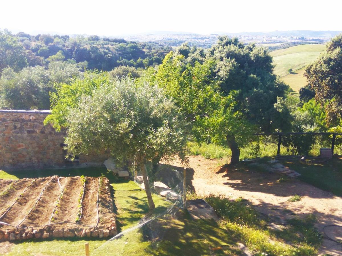 Casa Rural Bellavista Ronda Exterior photo