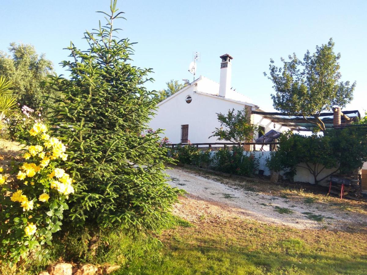 Casa Rural Bellavista Ronda Exterior photo